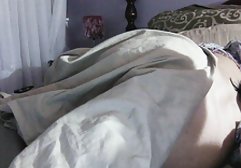 بیدمشک دوجنسه گروهی گربه زن پدرم